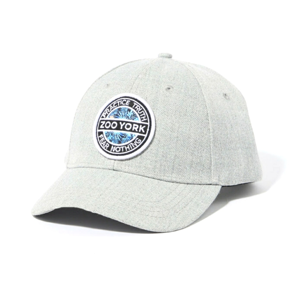 Zoo York snap back new with tags